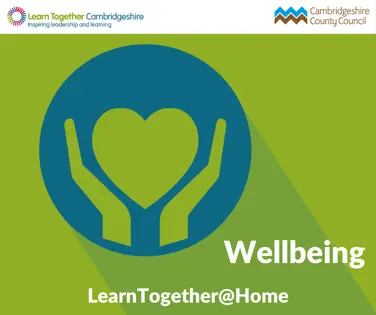 Wellbeing