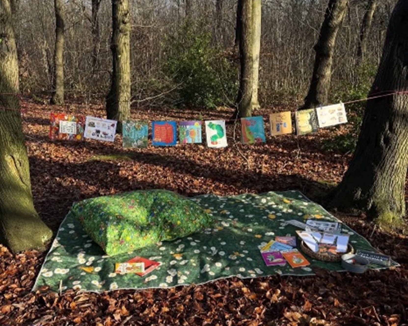 Outdoor reading setup in a wooded area