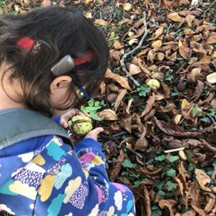 A child holding a nut in front of leaves