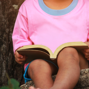 child reading a book under a tree
