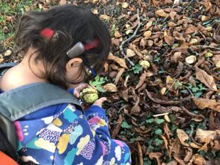 A child holding a nut in front of leaves