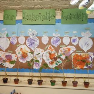 Sustainability display board