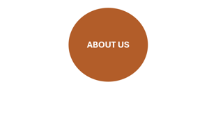 About the Virtual School