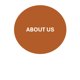 About the Virtual School