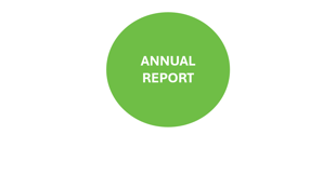 Virtual School Annual Report
