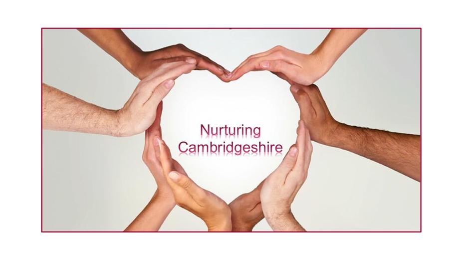 hands forming heart shape