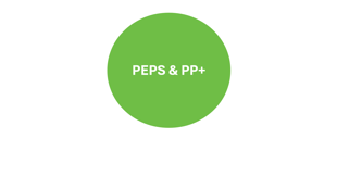 Personal Education Plans & Pupil Premium Plus
