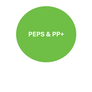 Personal Education Plans & Pupil Premium Plus