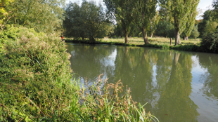 Water safety interactive learning