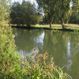 Water safety interactive learning