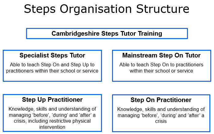 steps organisation structure chart