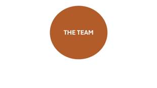 Virtual School Team