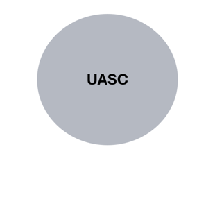 Unaccompanied Asylum Seeking Children